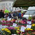 4_Innenstadt-Markt-Blumen DSC_0112.jpg