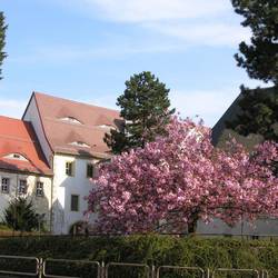 Rathaus von außen